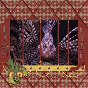 Lion Fish