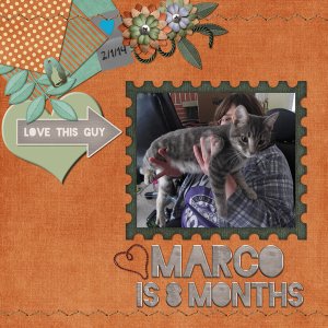 Marco is 8 months
