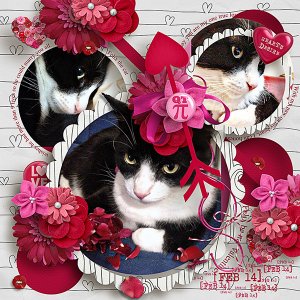 Purrfect Valentine