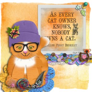 Cutie Cat