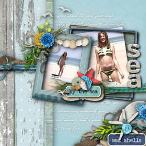 Sea Shells
