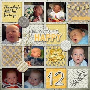 the first 12 weeks