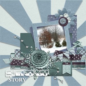 Snow Story Feb 13, 2014