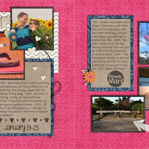 P2014  January  Week 4