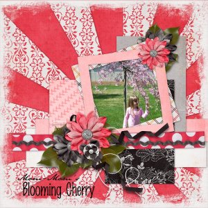 Mom-Mom's Blooming Cherry