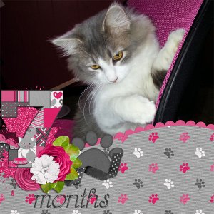Sassy at 7 Months