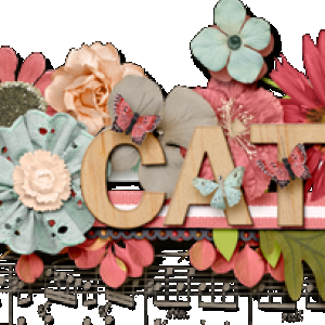 cath_feb