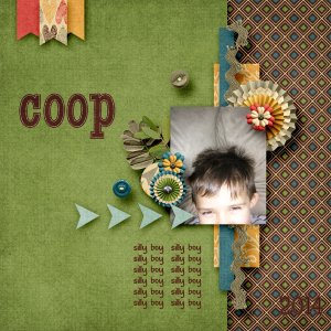 Coop
