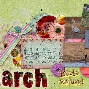 March The Birds Return