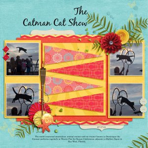 The Catman Cat Show