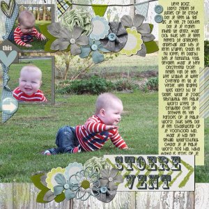 Stoere vent