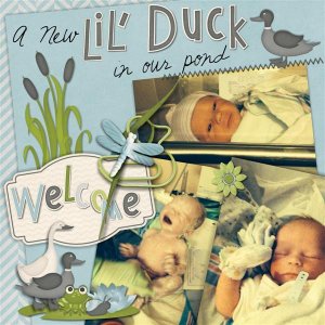 New Little Duck-pg1