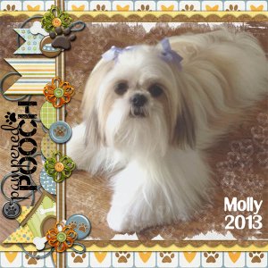 Molly 2013