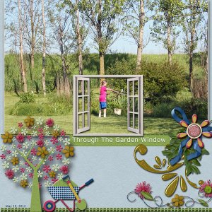 Through The Garden Window