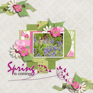 SpringIsComming