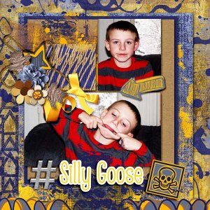 Silly Goose