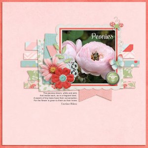 Peonies