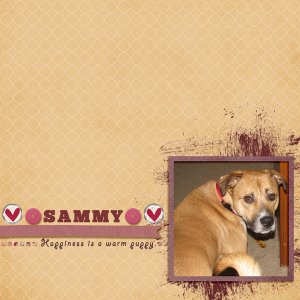 Sammy