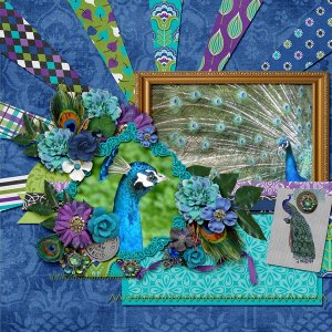 peacock1