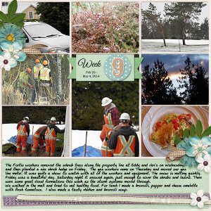2014_week-9