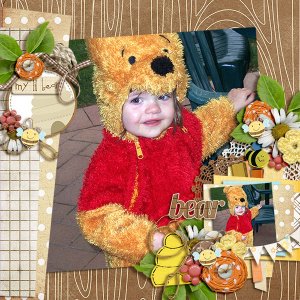 Bear