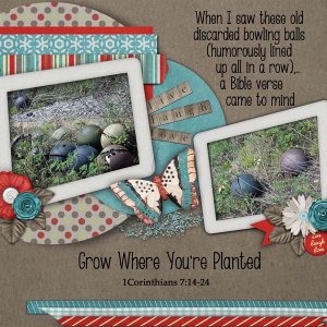Grow where You're Planted