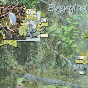 Everglades pg 1