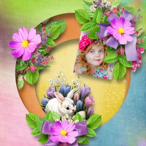rabbits land02
