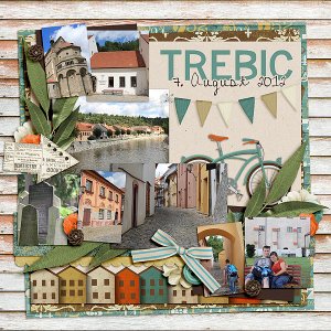 FB12-08Trebic-s
