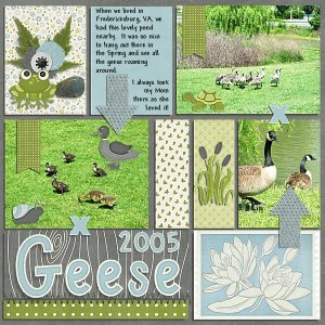 Geese 2005
