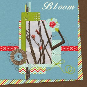 Bloom