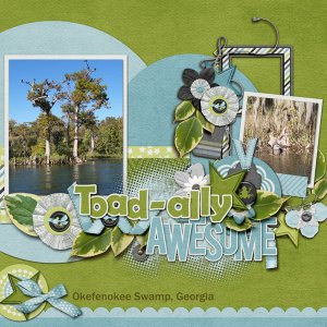 Okefenokee Swamp