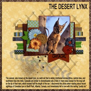 The Desert Lynx