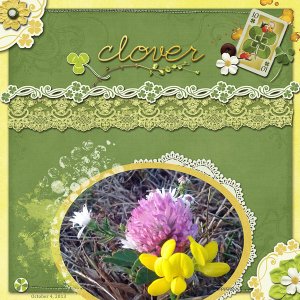 Clover