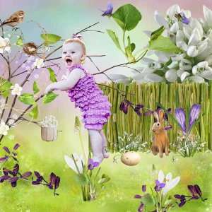 blooming spring
