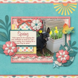 Spring