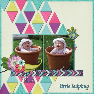 little ladybug