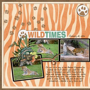 Wild Times
