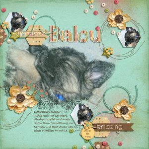 BabyBoy Balou