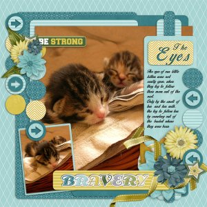 Bravery of kitten
