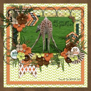 Wild Life