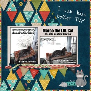 Marco The LOL Cat