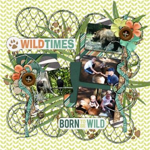 Wild Times
