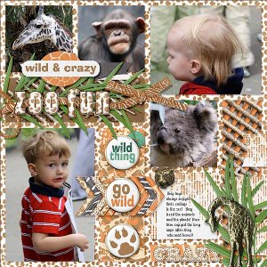 Zoo Fun