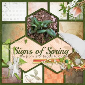 Signs Of Spring
