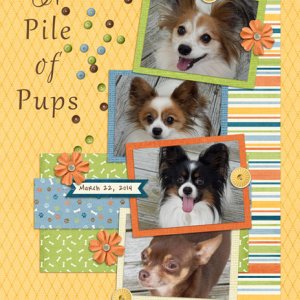 A Pile of Pups