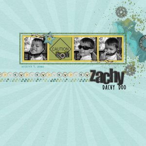 Zachy Dachy Doo