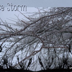Ice Storm