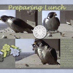 Preparing Lunch