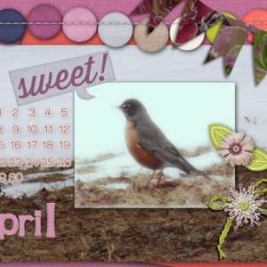 In Avid Anticipation of April